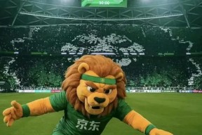 九游账号注册-关于冲刺阶段NBA总决赛焦点战，北京国安刷新队史纪录，球迷炸锅，身体对抗强度拉满的信息